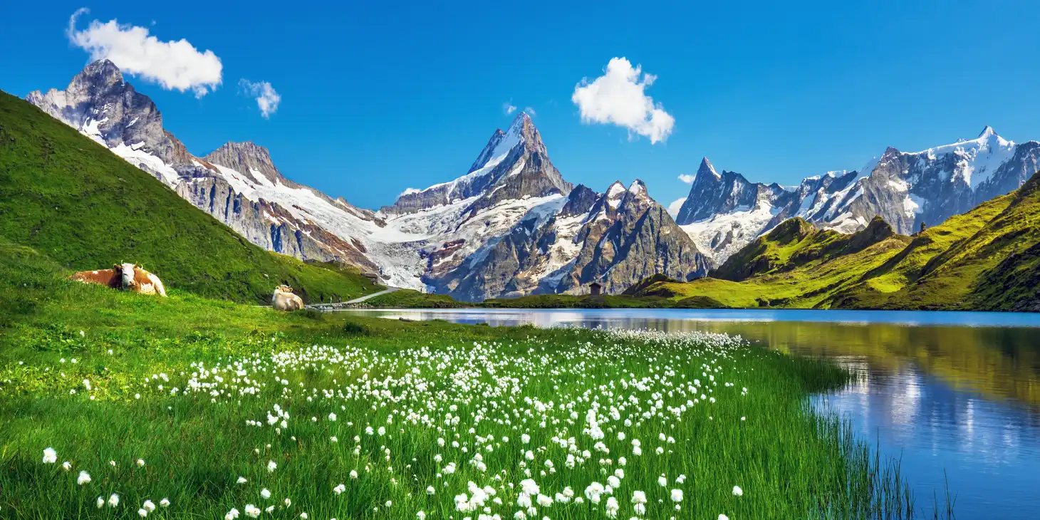Schweiz Grindelwald Bachalpsee - Leitner Reisen