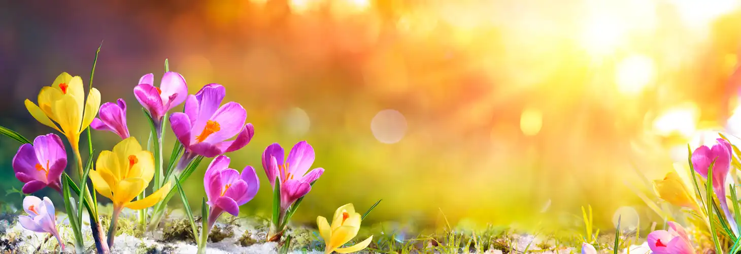 Busreisen im Frühling mit Leitner Reisen