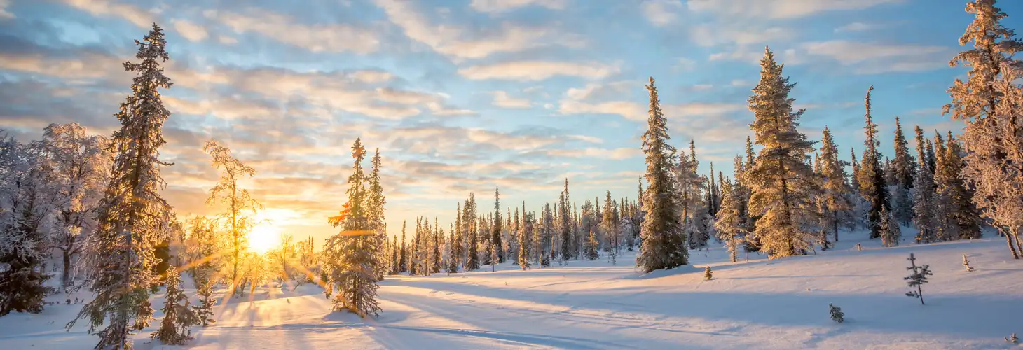 Busreisen im Winter mit Leitner Reisen