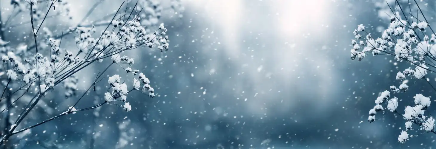 Busreisen im Winter mit Leitner Reisen