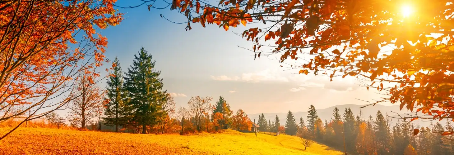 Herbstliche Landschaft in den Bergen