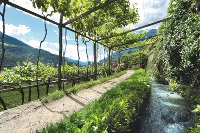 Waalweg - Leitner Reisen