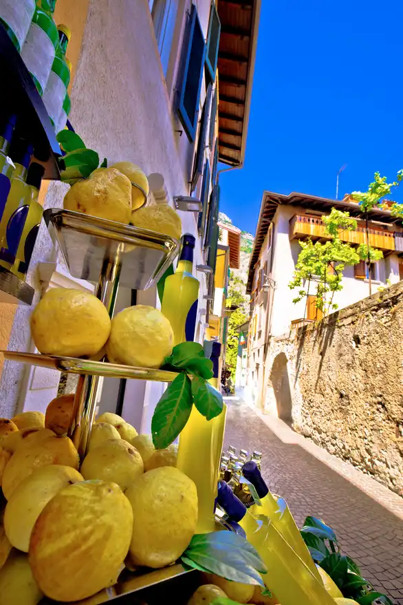 Zitronen und Limoncello vom Gardasee