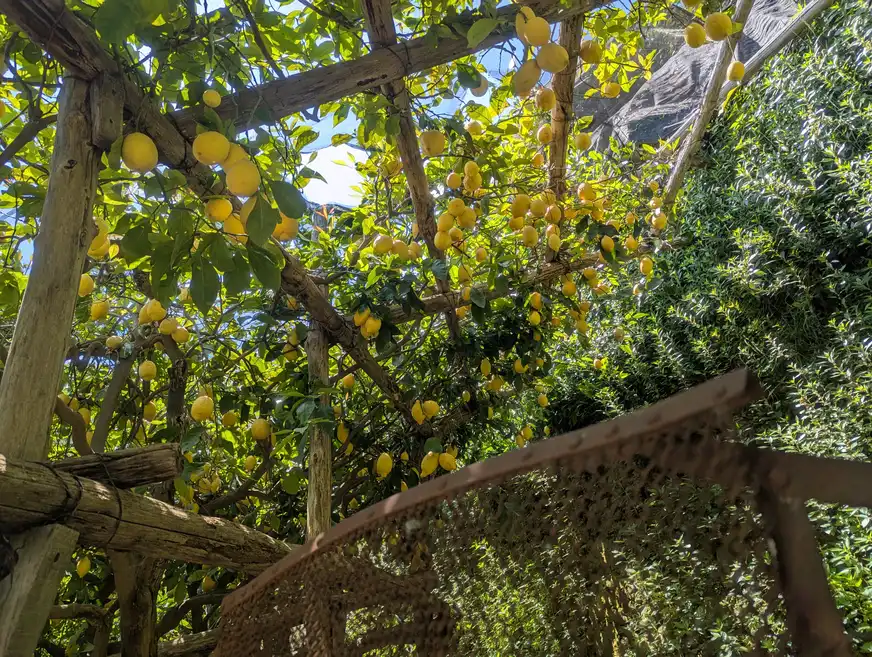 Sentiero dei Limoni - "Zitronenweg"