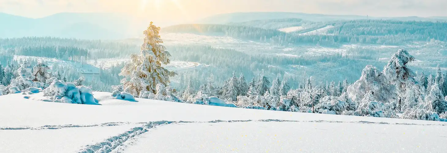 Der Schwarzwald im Winterkleid.
