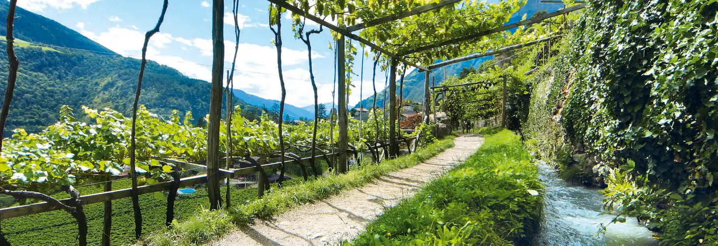 entlang der Waalwege durch Südtirol