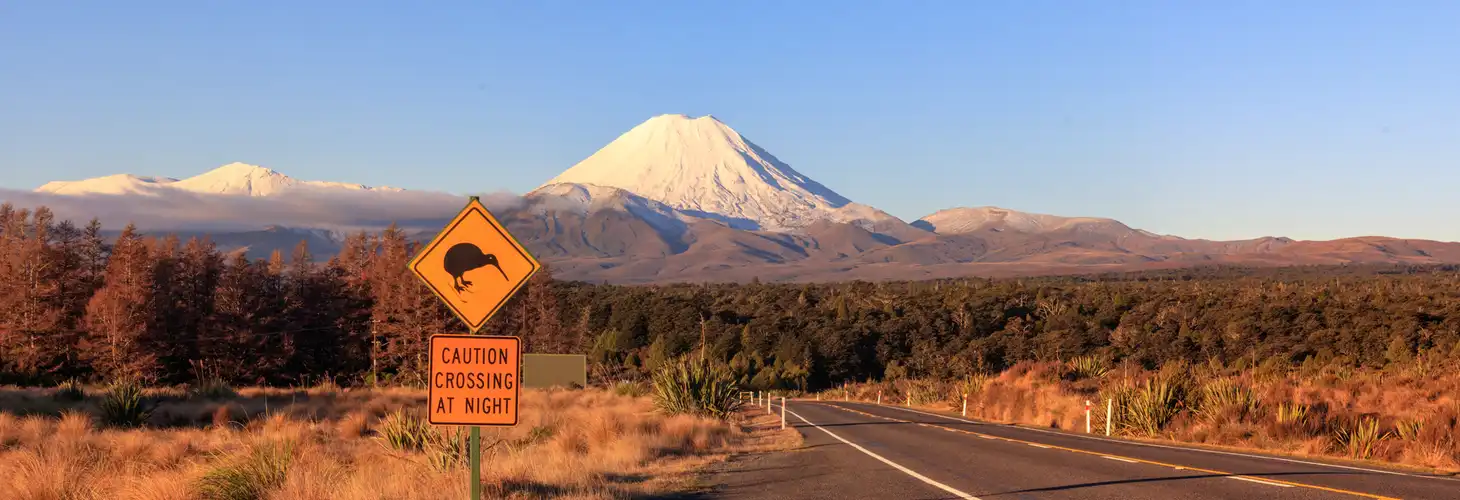 Kiwi-Verkehrsschild und Vulkan Ngauruhoe im Tongariro-Nationalpark