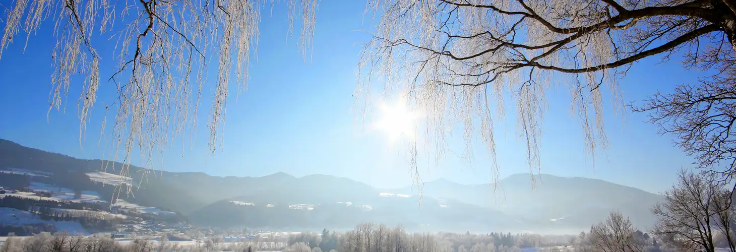 Winterlandschaft im Rauhreif