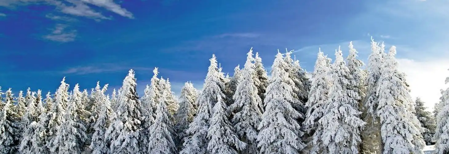 Winter im Schwarzwald