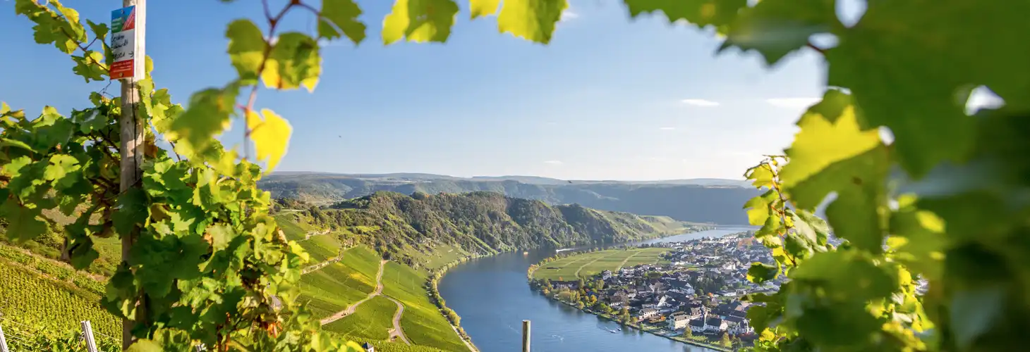 Mosel und Weinberge in Rheinland-Pfalz, Deutschland
