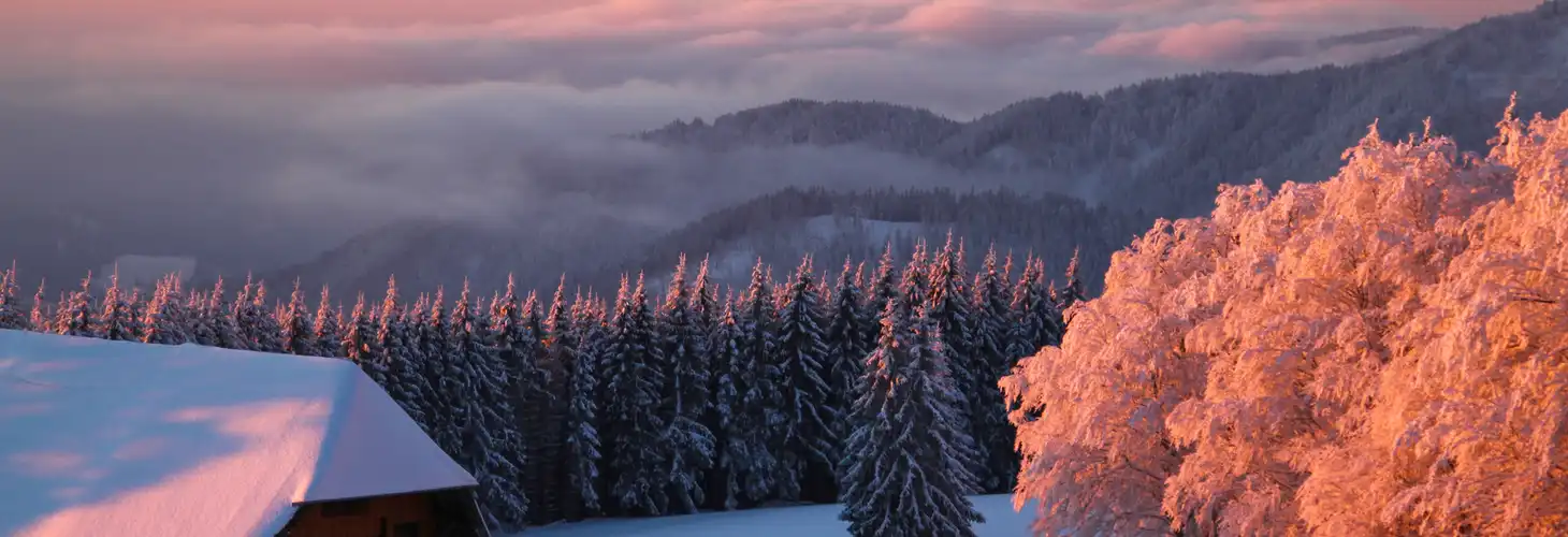 winterlicher Schwarzwald im Sonnenuntergang