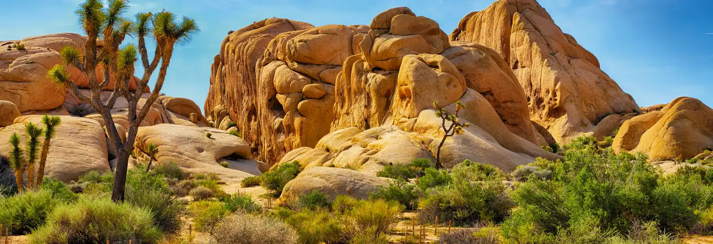 Joshua Tree Nationalpark - Er ist durch seine schroffe Gesteinsformationen und karge Wüstenlandschaft gekennzeichnet.