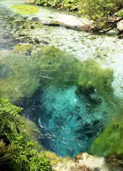 Klare Quelle mit türkisfarbenem Wasser und grüner Vegetation.