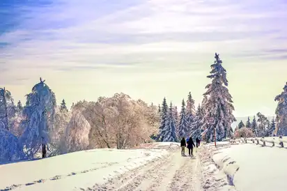 Winterspaziergang am Schliffkopf im Schwarzwald, Deutschland