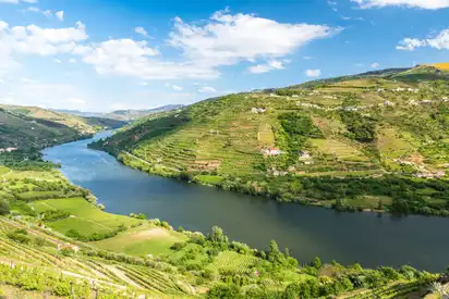 Landschaft des Douro-Flusses in Portugal
