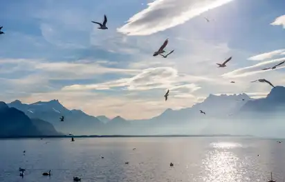 Blick auf die Alpen und den Genfer See