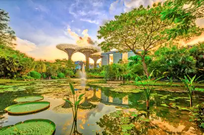 Gardens by the Bay in Singapur