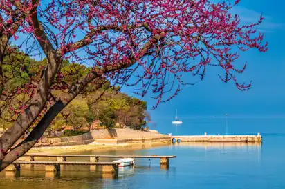 Grüne Lagune in Porec