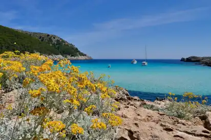 Cala Torta