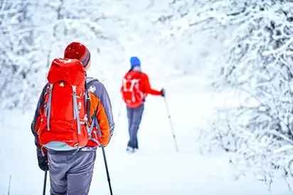 Wandern Sie duch den verschneiten Wald