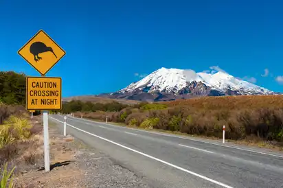 Vulkan Ruapehu im Tongariro-Nationalpark