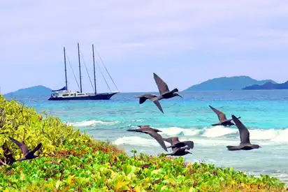 Blick auf das Segelschiff