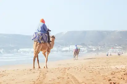 Beduine reitet auf einem Kamel am Hauptstrand von Agadir