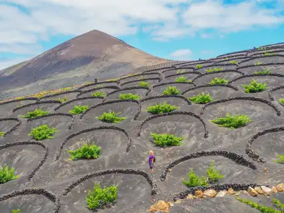 Lanzarote - Wandern zwischen den Weinbergen