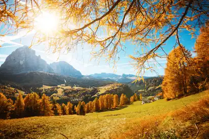 Herbstlandschaft im Grödnertal