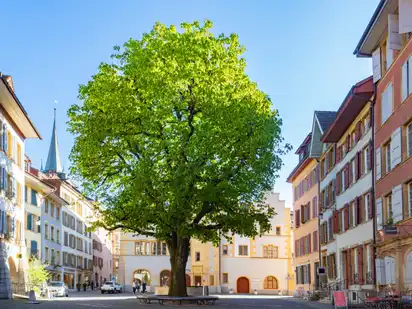 Frühling im Stadtzentrum von Biel, Schweiz