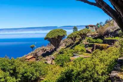 Wanderweg Las Tricias im Norden der Insel La Palma