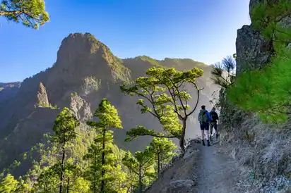 Wanderer auf einem bergigen Waldpfad mit Blick auf Felsen und Bäume.
