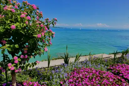 Insel Mainau