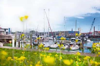 Boote im Jachthafen von Zeebrügge mit Kranen und blühenden Blumen im Vordergrund.