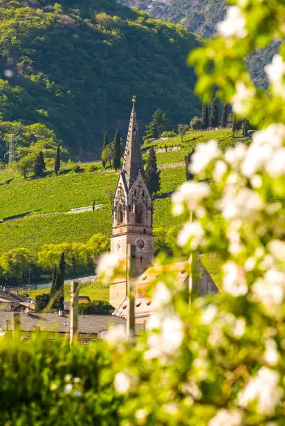 Blick auf die Pfarrkirche von Tramin