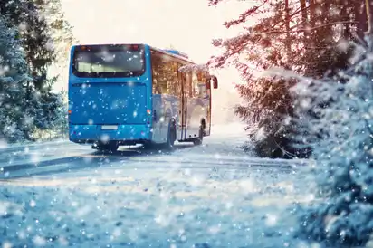 Bus auf Winterstraße durch Nadelwald