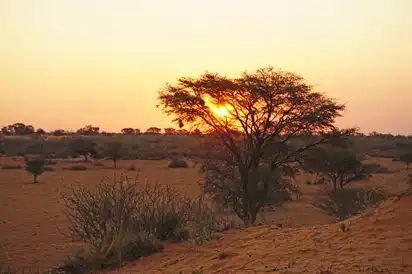 Sundowner Kalahari