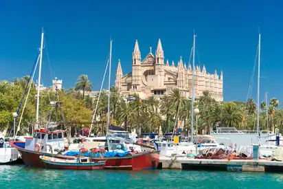 Boote im Hafen vor einer Kathedrale und Palmen im Hintergrund