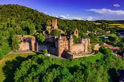 Luftaufnahme einer alten Burg in einer bewaldeten Landschaft im Sommer.