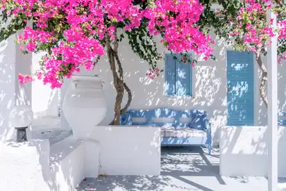 Ein weißes Gebäude in Oia, Santorin, mit blauen Fensterläden und Bougainvillea im Vordergrund.