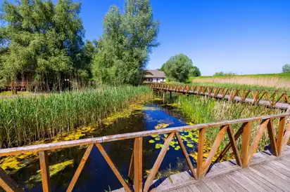 Nationalpark Kopački Rit in Kroatien