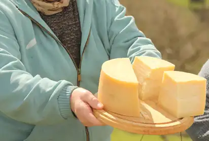 Idiazábal-Käse, Baskenland, Nordspanien, Spanien
