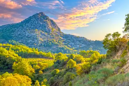 Blick auf die Weinlandschaft Nemea in Griechenland
