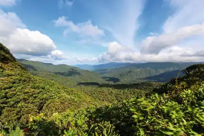 Blick über einen üppigen, grünen Regenwald unter einem teils bewölkten Himmel.