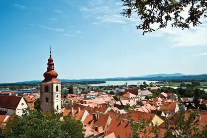 Blick über die Dächer von Ptuj