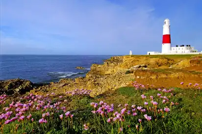 Leuchtturm an einer felsigen Küste mit blühenden Blumen im Vordergrund