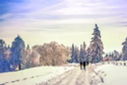 Winterspaziergang am Schliffkopf im Schwarzwald, Deutschland