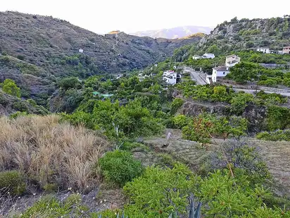 Das weiße Dorf Tolox im Naturpark Sierra de las Nieves