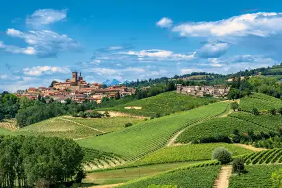 Weinregion Monferrat in Piemont