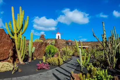 JardÃ­n de Cactus nahe Guatiza an der Nordostküste von Lanzarote, Spanien